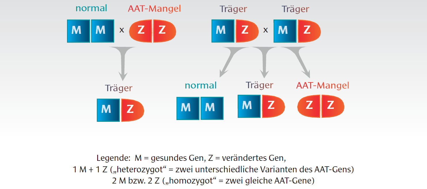 MZ und Alpha-1 - Ihr Online Portal für Mitglieder und Interessierte